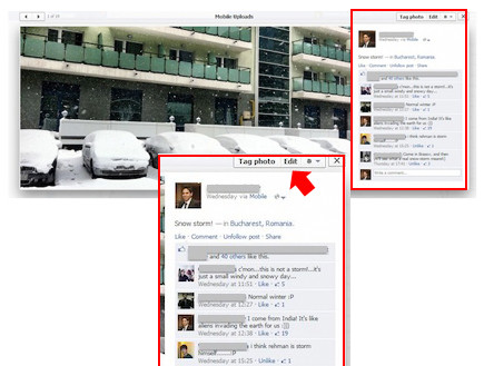 האם כך ייראה ממשק התמונות החדש של פייסבוק? (צילום: באדיבות "אנשי הפרחים בישראל", InsideFacebook)