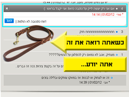 טוקבק הזהב 7 (צילום: אילוסטרציה)