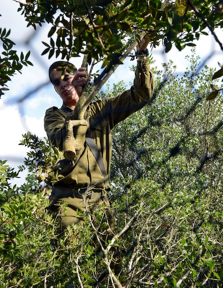 לוט"ר (צילום: רוני אביב, במחנה)