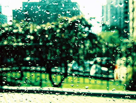 מצלמים גשם (צילום: טוני רשף) (צילום: טוני רשף)