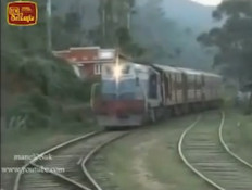 תיעוד: נדרסה על ידי רכבת וקמה ללא שריטות (וידאו WMV: Youtube.com)