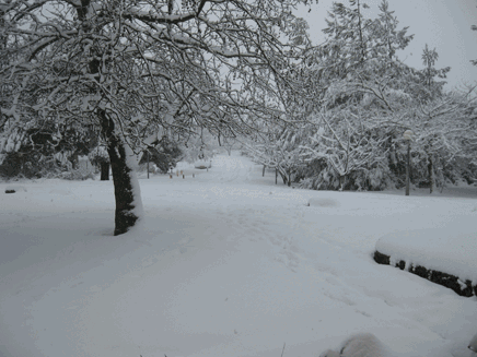 שלג ברמת הגולן קיבוץ אל רום (צילום: חדשות 2)