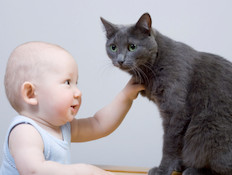 תינוק עם חתול אפור (צילום: אימג'בנק / Thinkstock)