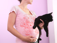 אישה בהריון עם חתול (צילום: אימג'בנק / Thinkstock)