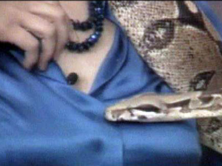 הנחש השובב בתוך החולצה (צילום: חדשות 2)
