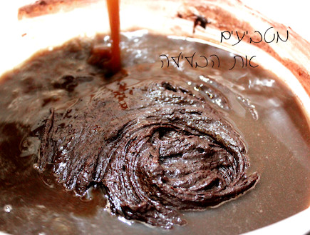 עוגת שוקולד (צילום: אסתי רותם, mako אוכל)