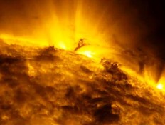 טורנדו פלזמה על פני השמש (צילום: gizmodo.com)