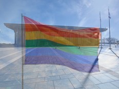 pride flag kneset (צילום: עדי רם)