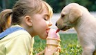 כלבים וילדים (צילום: eng.namonitore.ru)