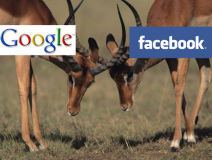 פייסבוק VS גוגל (צילום: אילוסטרציה)