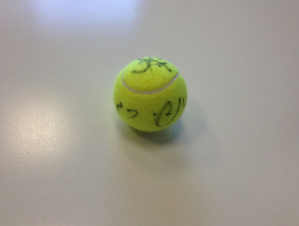 כדור טניס של אנדי רם ויוני ארליך (צילום: mako)