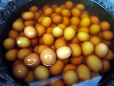 ביצים ספוגות בשתן (צילום: geekosystem.com)