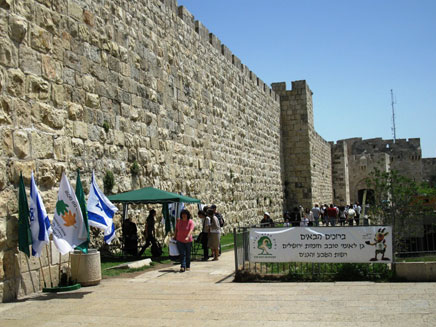 מבקרים בחומות ירושלים, היום (צילום: אסף אברהם)