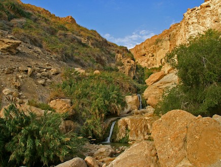 שמורת עין גדי (צילום: דורון ניסים)