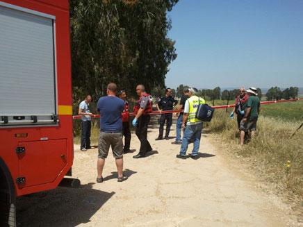 זירת השריפה, היום בצפון (צילום: חדשות 2)