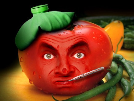 עגבניות מצחיקות