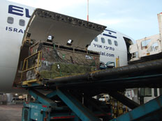 הארגז המיוחד מוצא מן המטוס (צילום: צוות בקרה ממ"ן)