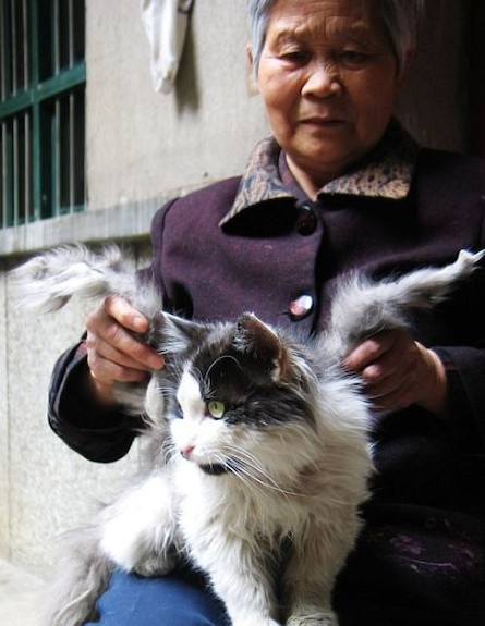 רואים בסין (צילום: flickr.com)