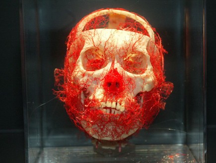 פנים מתוך התערוכה "הגוף"