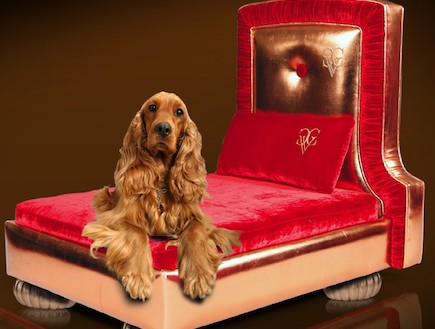 מיטות לבעלי חיים, כלב חום על מיטת יוקרה אדומה (וידאו WMV: מתוך האתר http://www.chienvivantcouture.com/)