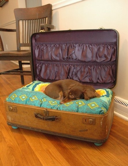 מיטות לבעלי חיים, כלב במזוודה (וידאו WMV: מתוך האתר http://beerdvanstokkum.com)