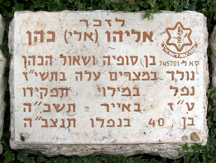 אלי כהן (צילום: תמר הירדני, ויקיפדיה)