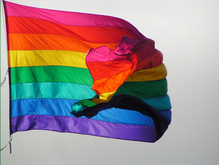 דגל גאווה (צילום: אימג'בנק / Thinkstock)