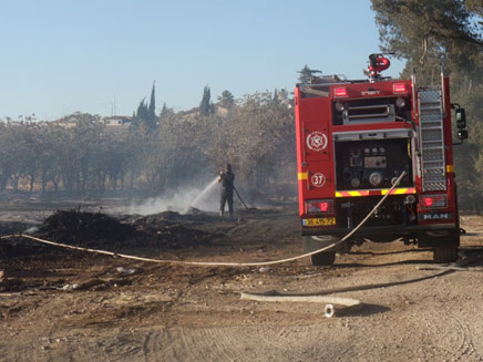 אזור השריפה, היום (צילום: אסף אברס כבאות והצלה ירושלים)