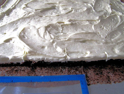 עוגת זברה (צילום: דליה מאיר, קסמים מתוקים)