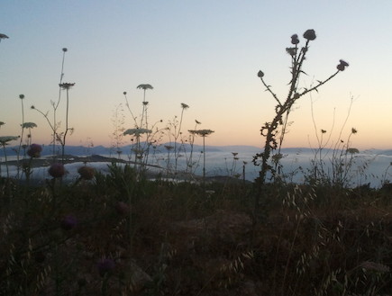 נוף ללבנון (צילום: יואב סרוסי)