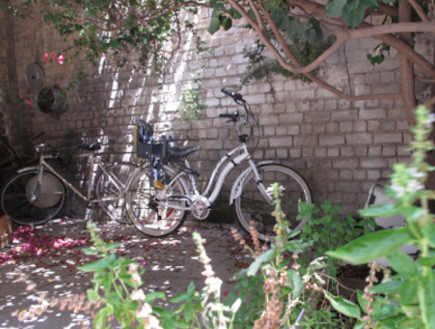 אופניים בחצר (צילום: עדי מנור)