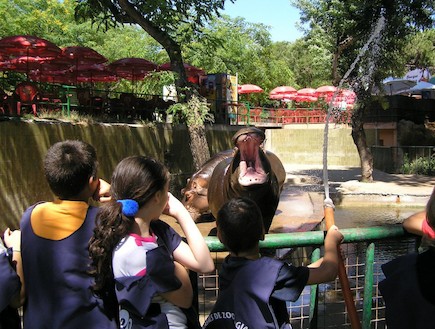  גן החיות בברצלונה 
