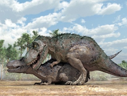 דינוזאורים מזדווגים (צילום: huffingtonpost.com)