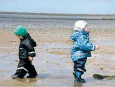 שמורת Wadden Sea (צילום: גיא מצא ,ויז'ואל, גלובס)