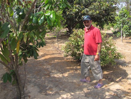 אוסף עצי הפרי של גיא טל (צילום: מועצה אזורית באר טוביה)