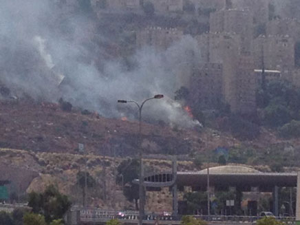 השריפה בחיפה, אחר הצהריים (צילום: פוראת נסאר)