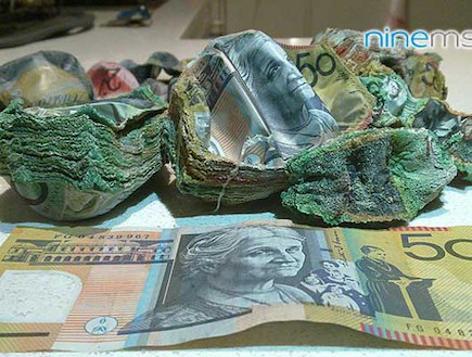 הכסף נשרף בתנור (צילום: ninemsn.com.au)