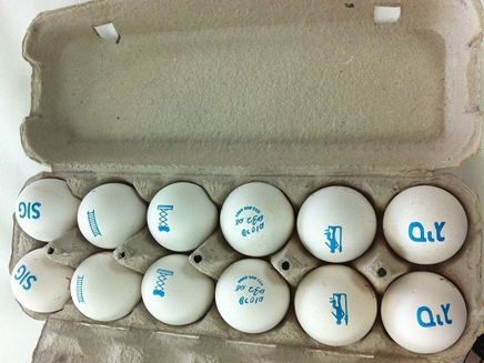 "אנשים הופתעו מהביצים" (צילום: סיג)