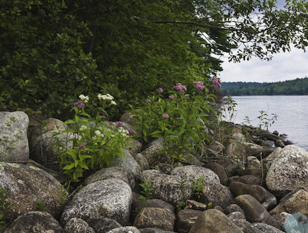 partige אי עם סלעים (צילום: מתוך האתר.vladi-private-islands.de)