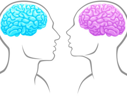מוח נשי ומוח גברי (צילום: אימג'בנק / Thinkstock)