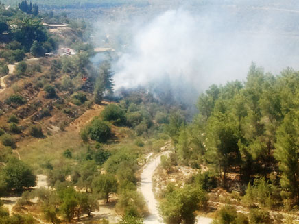 השריפה באבן ספיר סמוך לירושלים (צילום: יוסי זילברמן)