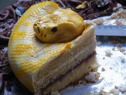 עוגת נחש (צילום: huffingtonpost.com)