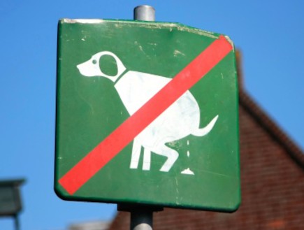 אין כניסה לכלבים (צילום: אימג'בנק / Thinkstock)