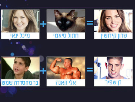 פתרון בחינת הבגרות במתמטיקה