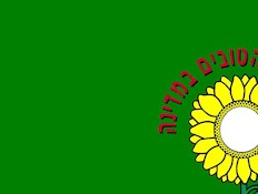 לוגו קלית יוסי