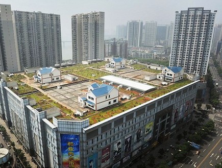שכונת וילות על גג בניין בסין (צילום: dailymail.co.uk)