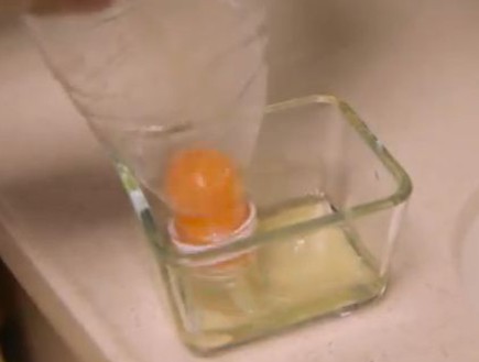 בקבוק וביצה (צילום: youtube.com)