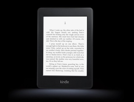 Kindle Fire HD