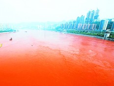 נהר היאנגצה בסין שינה צבעו לאדום (צילום: china.org.cn)