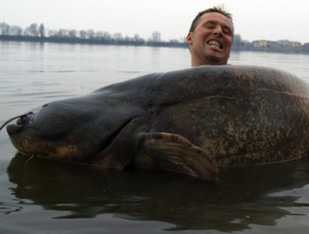 דג בסה ענק (צילום: thelocal.de)